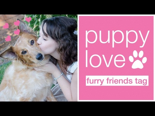 PUPPY LOVE ❤ - Furry Friends Tag!