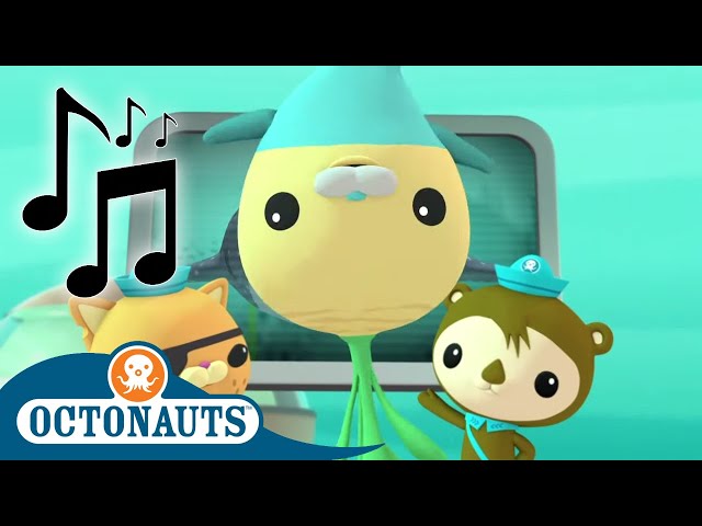 Octonauts - Learn About Ocean Creatures | Cartoons for Kids | Creature Reports