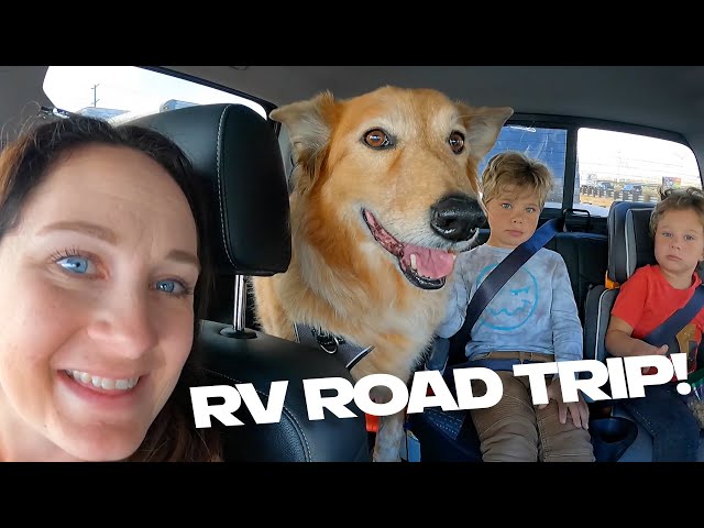 We're Leaving California! Daily Bumps Family RV Road Trip!