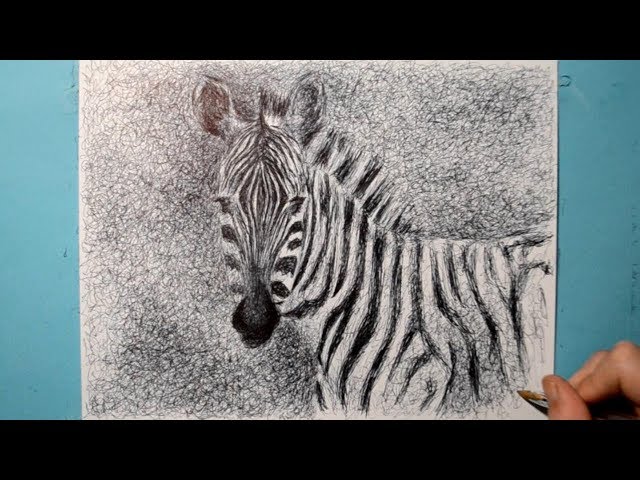 Zebra Drawing / Ballpoint Pen Study / Cool Technique / Scribble Art Therapy / Day 035