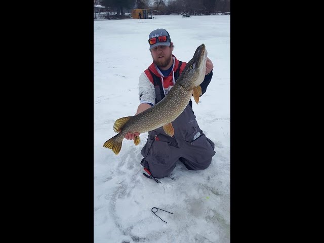 New Year's Eve and NYD Huge Pike Through the Ice!