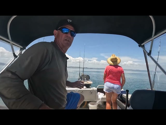 Great White Shark Leaps From Water as Family Fishes in New Zealand