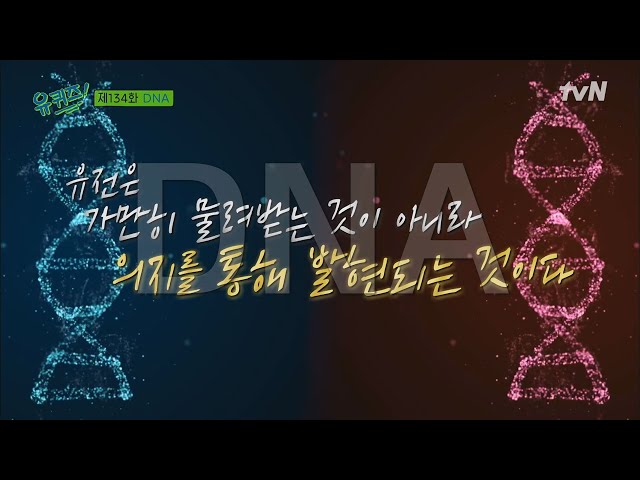 당신은 어떤 DNA를 가지고 있나요? 노력의 시간이 만드는 남다른 DNA!#유퀴즈온더블럭 | YOU QUIZ ON THE BLOCK EP.134