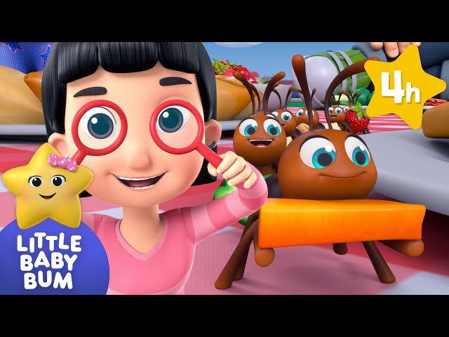 FOUR HOURS of Baby Songs | Ants go Marching & More ⭐Little Baby Bum Nursery Rhymes | Baby TV
