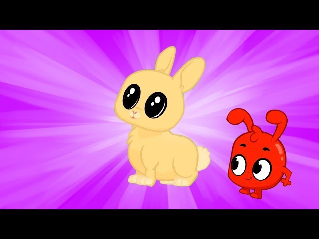 Morphle & The Puffer Bunny | NEW | My Magic Pet Morphle | Kids Cartoons | Moonbug Kids