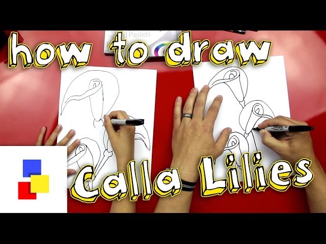 How To Draw Calla Lilies