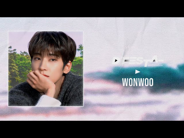 [D’FESTA] PHOTOBOOK PREVIEW | WONWOO(SVT)