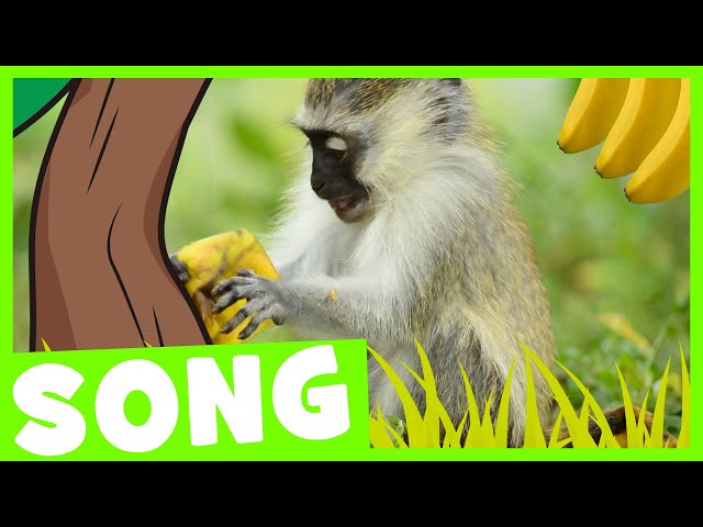 Banana Tree | Simple Songs for Kids