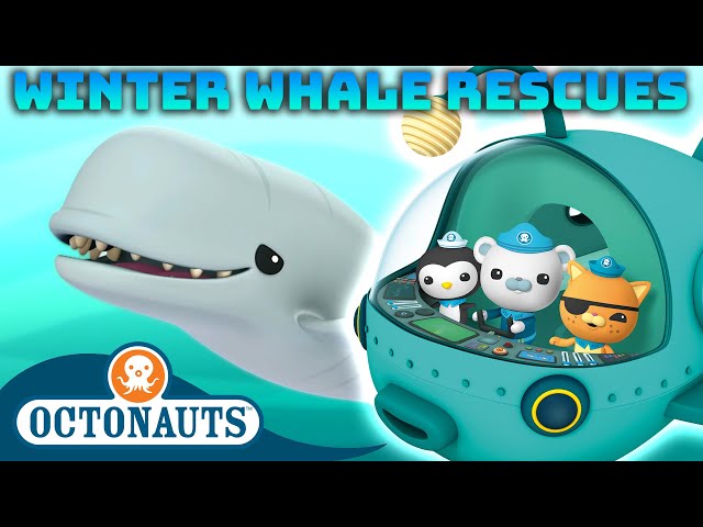 ​@Octonauts - Winter Whale Rescues 🐋 🛥️ | 60 Mins Compilation  | Underwater Sea Education