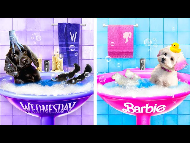 We Build a Tiny Water Park for Pets at Home! Barbie vs Wednesday Addams!