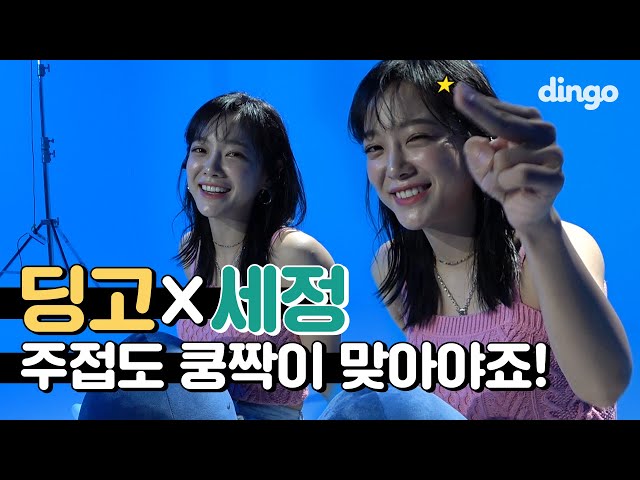 🔥SEJEONG X Dingo's silly comment battle🔥 | 세정(SEJEONG) - Whale🐳 | Behind the scenes | Dingo Music