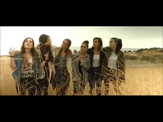 See You Again  (Cover by Cimorelli ft. The Johnsons) lyrics *CAPTIONS*