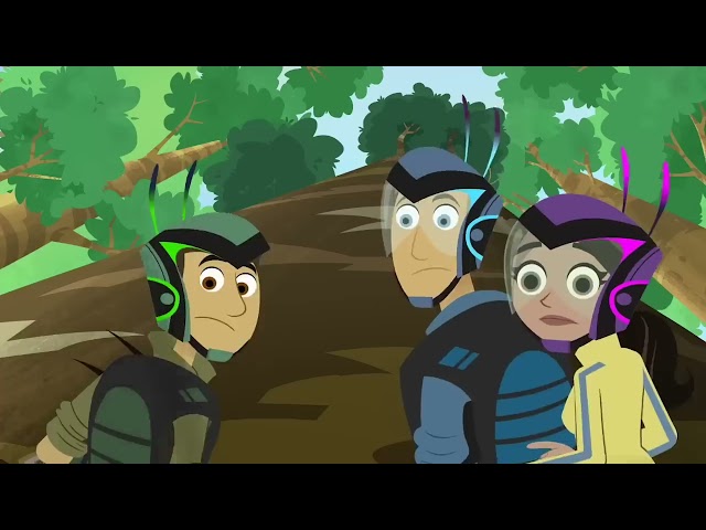 Wild Kratts - Discovering New Creatures #2 | Kids Videos