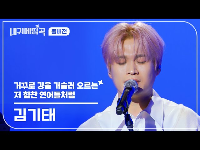 내 귀에 띵곡 | 김기태  - 거꾸로 강을 거슬러 오르는 저 힘찬 연어들처럼 Live Clip | 풀버전