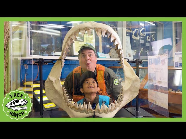 NEW! The Magic of Sharktooth Hill T-Rex Ranch Dinosaur Videos
