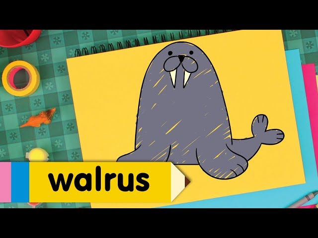 Learn How to Draw A Walrus | Super Simple Draw | Step By Step