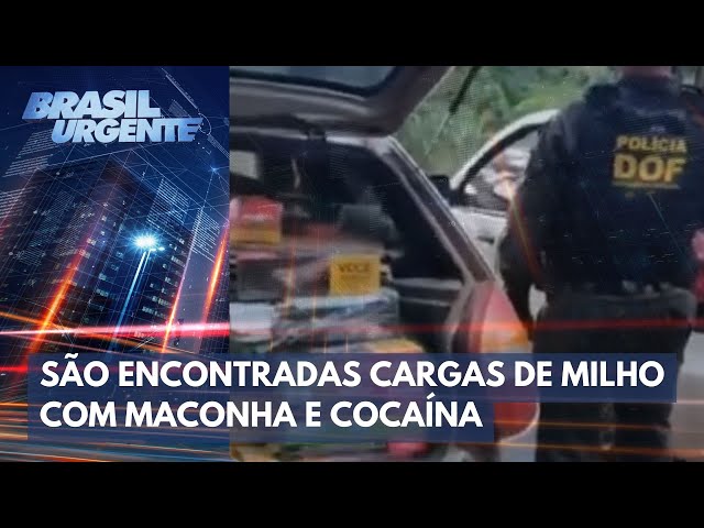 PCC: Cocaína é escondida no meio de carga de milho | Brasil Urgente