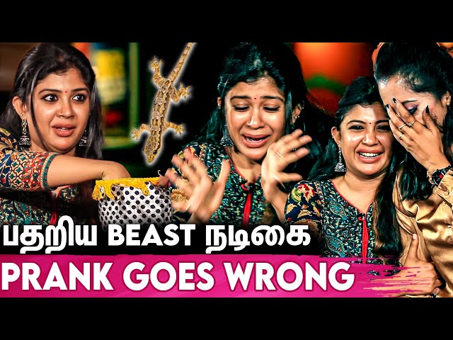 Tiktok Ban பண்ணதால Depression-க்கு போய்ட்டேன் : Gayathri Shan Exclusive Interview |actor Vijay|beast