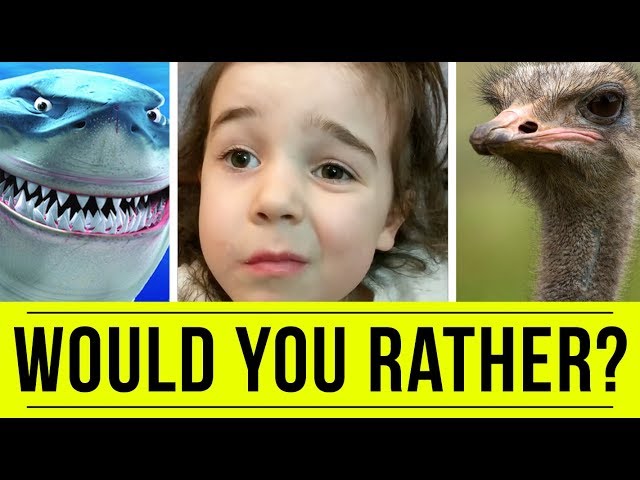 Would You Rather? | FREE DAD VIDEOS