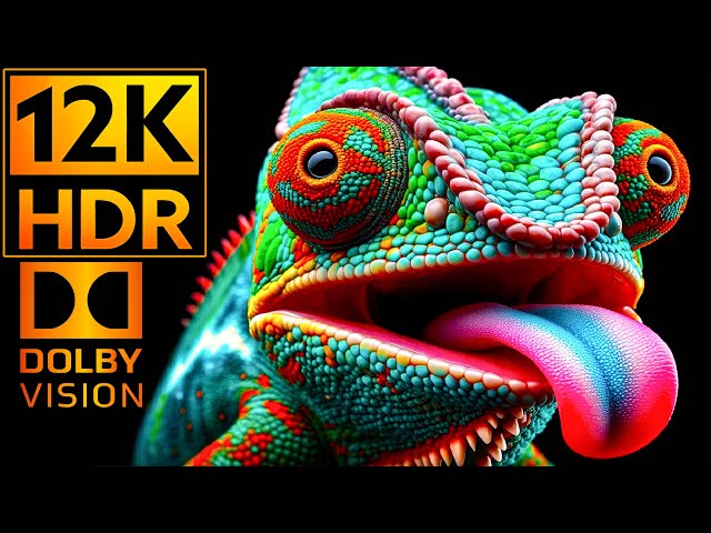 Better World 12K HDR 120fps Dolby Vision