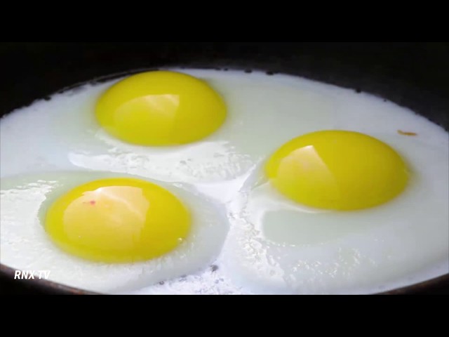 하루 3개 이상의 달걀 섭취, 심장질환의 위험 증가시켜...- RNX TV