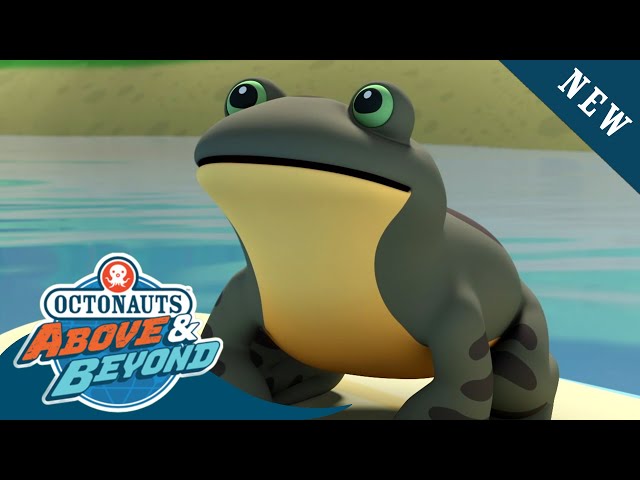 Octonauts: Above & Beyond - Ernesto the Lonely Frog | Season 2 | @Octonauts​