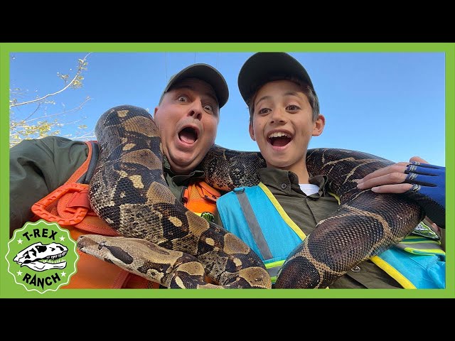 Andy and AJ Visit Animals at a  Ranch! T-Rex Ranch Dinosaur Videos