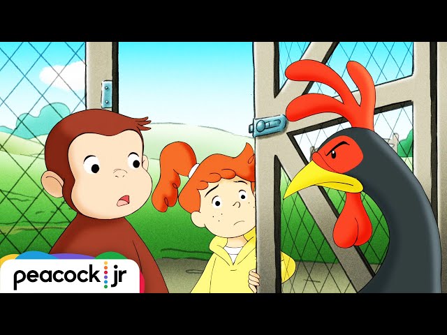 George and Allie's Egg-cellent Adventure! 🐵Curious George 🐵 Kids Cartoon 🐵Videos for Kids