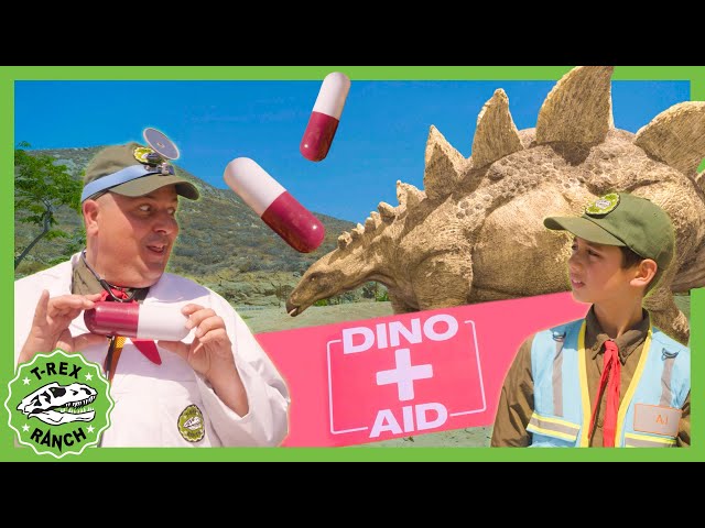 Injured Stegosaurus - Help Dr. Dino Doctor!🦕 T-Rex Ranch Dinosaur Videos