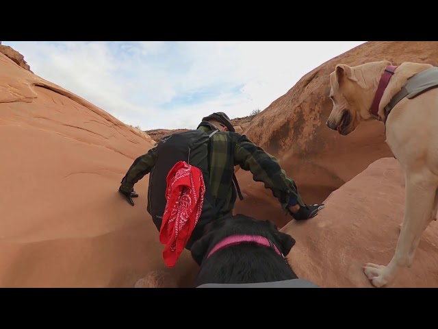 Dog Cam Captures Beauty Of San Rafael Swell