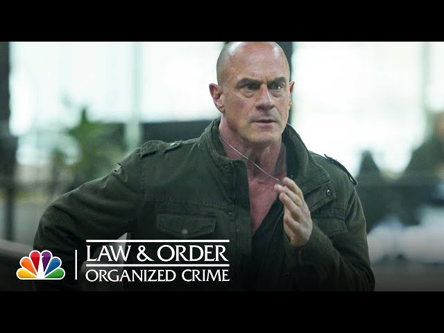Stabler Confronts Webb About the Hit Out on Him | NBC’s Law & Order: Organized Crime