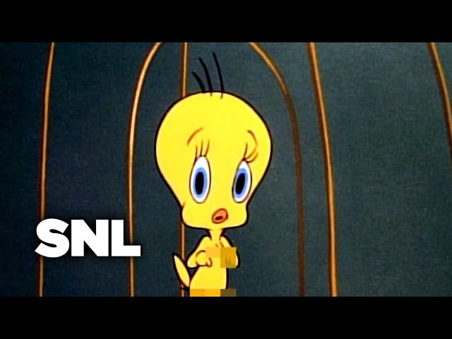 TV Funhouse: Fixed Cartoons - Saturday Night Live