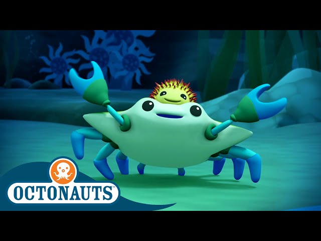@Octonauts -  🦀 The Crab and Urchin 🪸 | Season 1 | Full Episodes | Cartoons for Kids