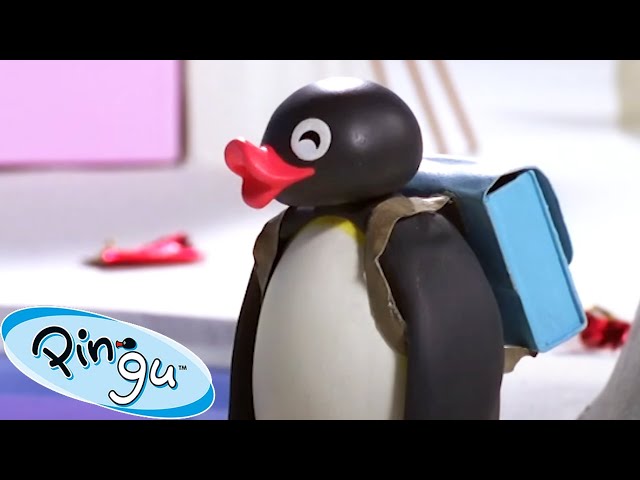 All Packed Up! 🐧 | Pingu - Official Channel | Cartoons For Kids