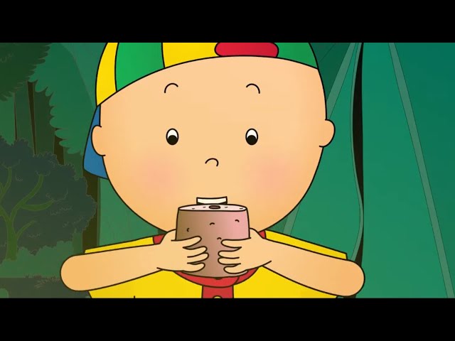 ★ Caillou goes Camping ★ Funny Animated Caillou | Cartoons for kids | Caillou