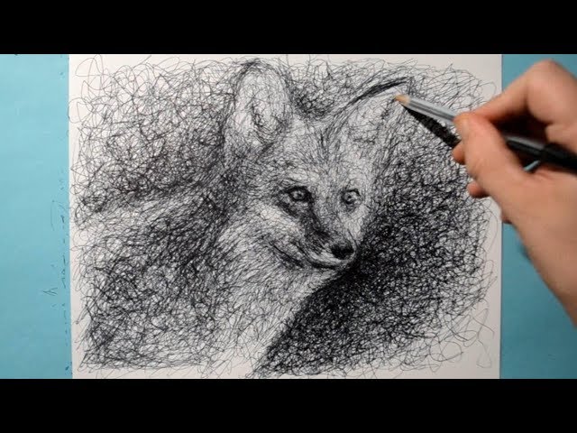How to Draw a Realistic Fox / Ballpoint Pen Drawing / Fun Scribble Art Style