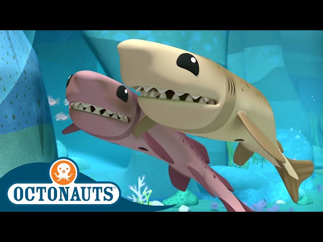 @Octonauts -The Cookiecutter Sharks | Full Episode 39 | Cartoons for Kids | Underwater Sea Education