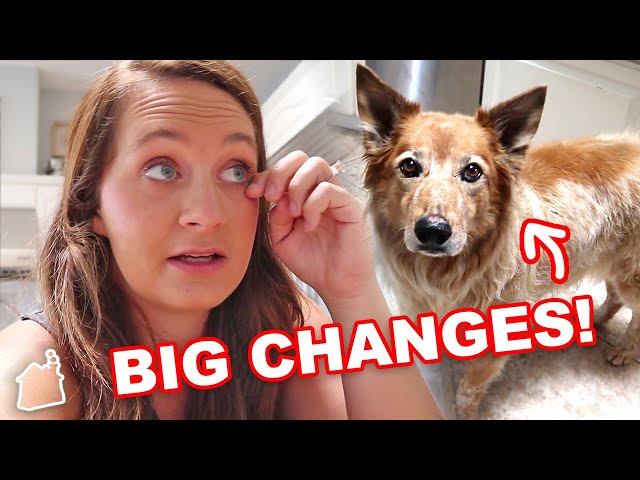 Making Changes With Our Pets