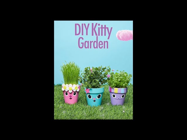 DIY Kitty Garden with Pandy Paws! 😻🌻 Gabby's Dollhouse #shorts