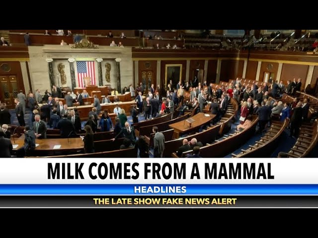 Drink Mammal Milk