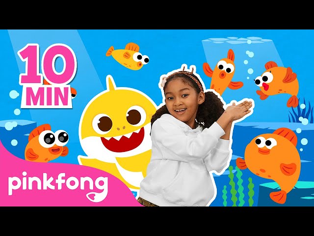 Baby Shark Dance + More! | Dance Along Compilation | Pinkfong Kids Song