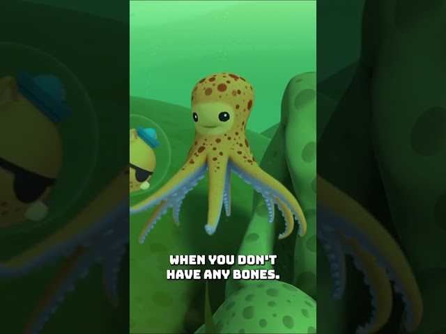 @Octonauts - The Real King of Hide & Seek | The Octopus 🐙 👑 | #shorts #hideandseek