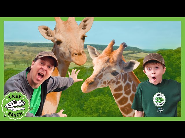 Petting Wildlife Animals with Park Ranger Aaron and LB 🦕 T-Rex Ranch Dinosaur Videos