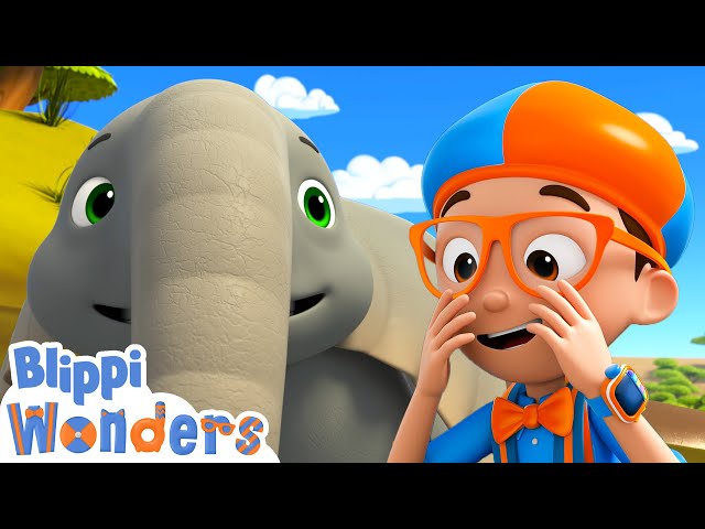 What Are Elephant Trunks For? | Blippi Wonders | Educational Cartoons for Kids | Blippi Toys