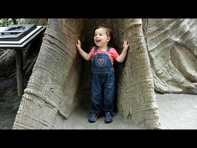 A Day at the Bronx Zoo