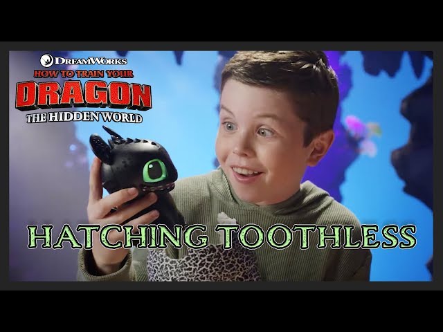 How To Train Your Dragon Hatching Toothless – 30