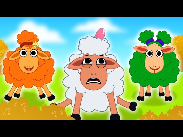 Five Colorful Sheep Jumping in The Shed + Children Rhymes by @kidscamp