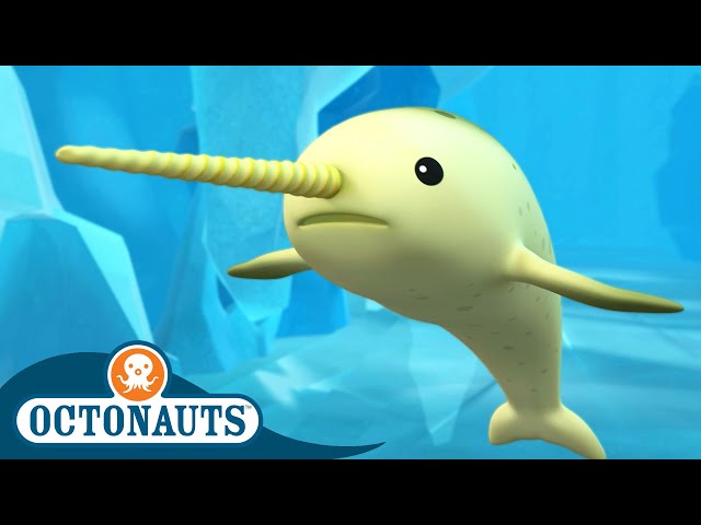 @Octonauts -  🐋 The Narwhal 🧊 | Season 1 | Full Episodes | Cartoons for Kids