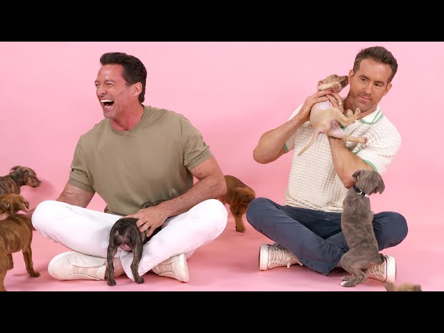 Ryan Reynolds and Hugh Jackman: The Puppy Interview