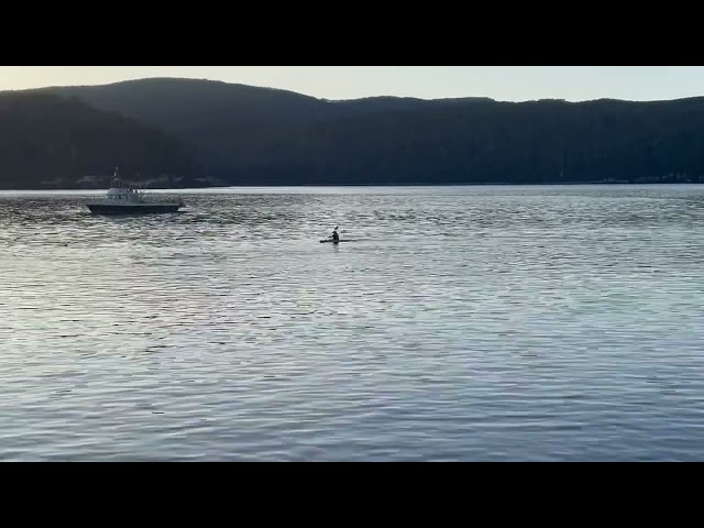 Mom Films Whale Bumping Into Kayaking Son in Tasmania
